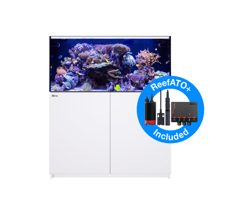 Red Sea Reefer 425 G2+ DELUXE Meerwasseraquarium Komplettset